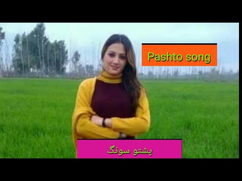 pashto new songs free download